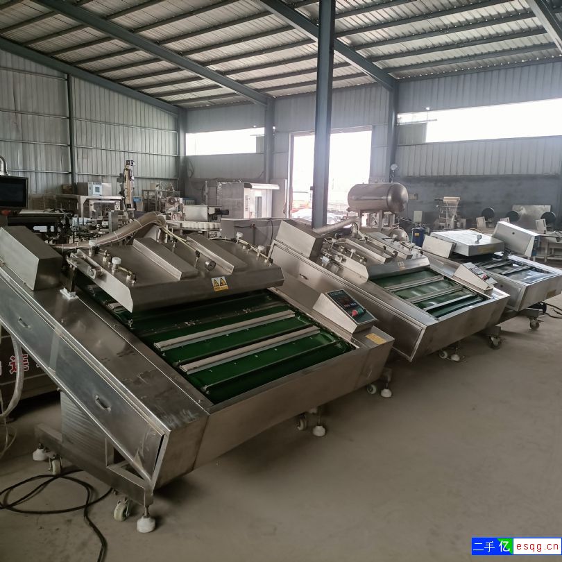 转让蔬菜枕式包装机 600型伺服枕式包装机 预制菜-2