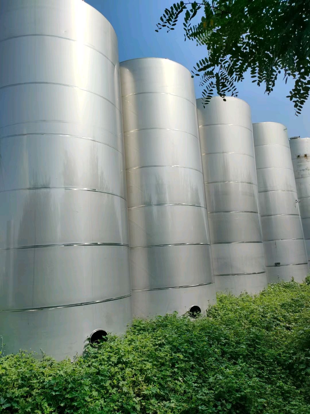 全新不锈钢储罐供应 现货10立方-100立方-1