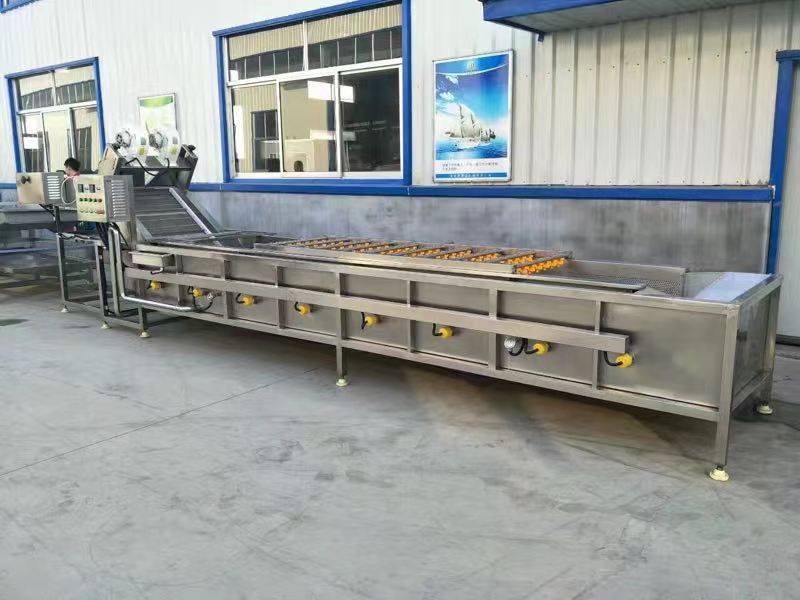 样机处理，全自动气泡清洗机，预制菜清洗机，需要的私-2