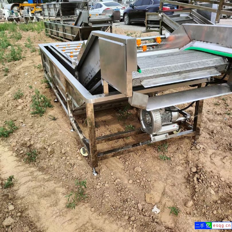 气泡清洗机 果蔬清洗机 水果清洗机 蔬菜清洗机-2