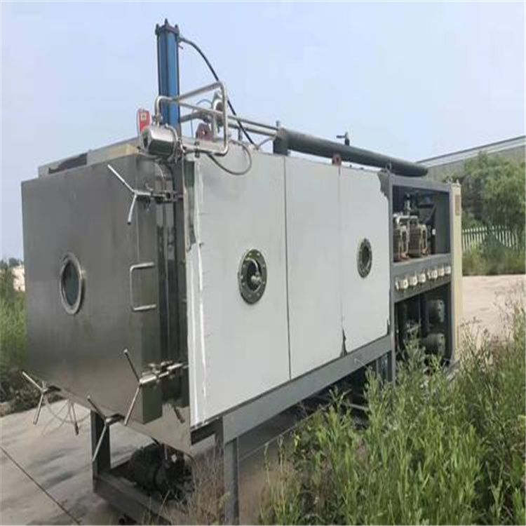 二手冻干机二手不锈钢冻干机二手20平方东富龙冻干机-1