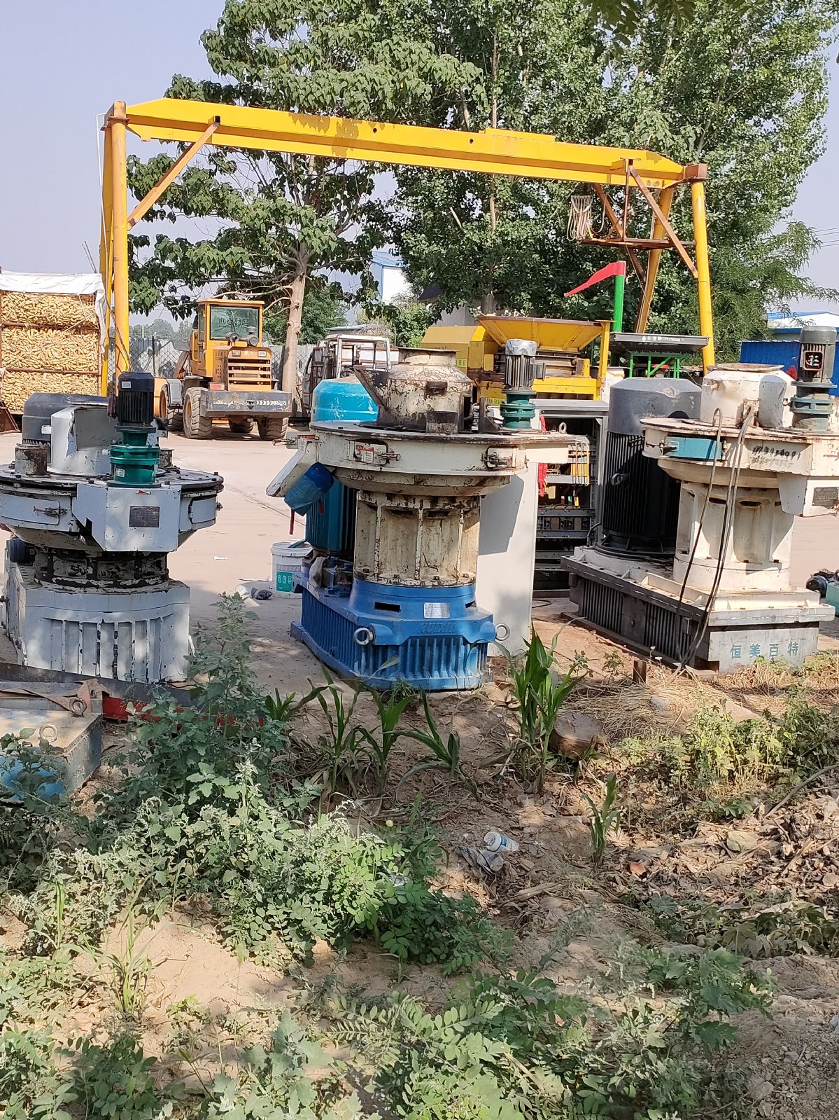 二手造粒机二手木屑燃料制粒机二手燃烧颗粒料生产机-2