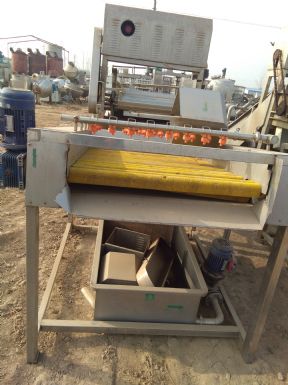 疏菜清洗机设备处理