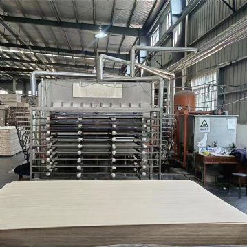 转让全自动三聚氰胺贴面热压机天力产压力8