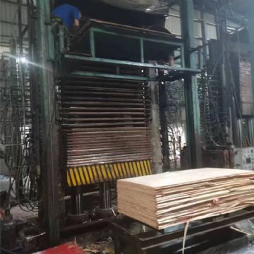 30层3X6尺二手热压机临沂万达产 油缸