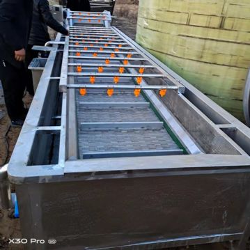 气泡清洗机 果蔬清洗机 水果清洗机 蔬菜